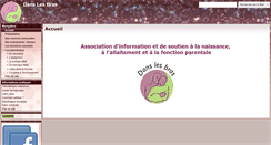 Desktop Screenshot of danslesbras.org